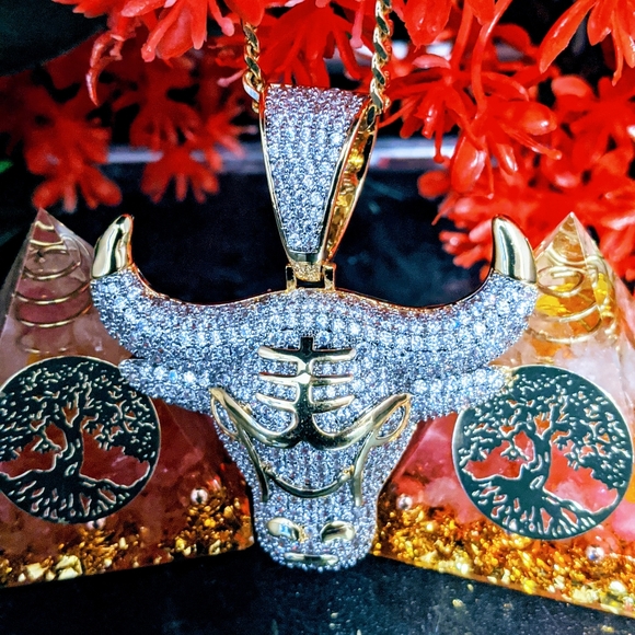 🧡 Iced Chicago Bull Pendant + Chain - Picture 8 of 8